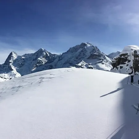Διαμέρισμα Chalet Wetterhorn Lütschenthal