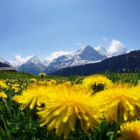 Διαμέρισμα Chalet Wetterhorn Lütschenthal