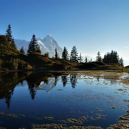 Διαμέρισμα Chalet Wetterhorn