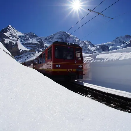Chalet Wetterhorn Διαμέρισμα *