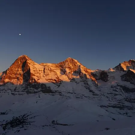 Διαμέρισμα Chalet Wetterhorn