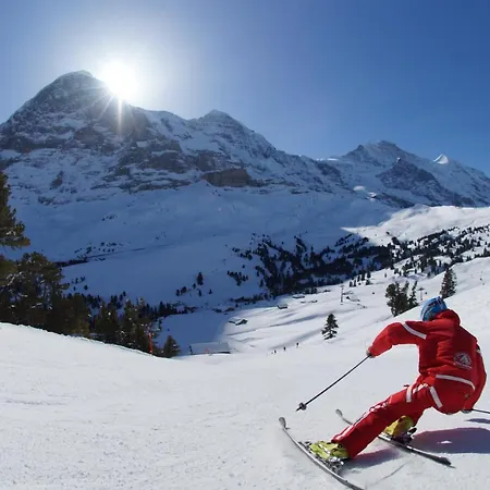 Διαμέρισμα Chalet Wetterhorn